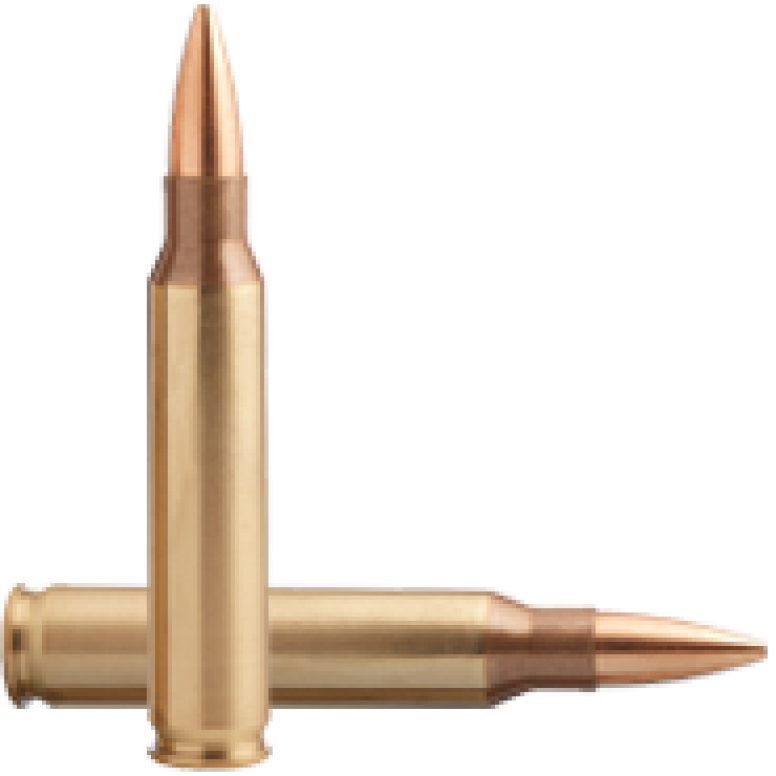 Σφαίρες GGG .223 REM DESIGN, 55gr, GPR11